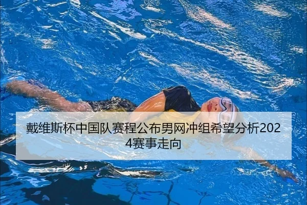 戴维斯杯中国队赛程公布男网冲组希望分析2024赛事走向